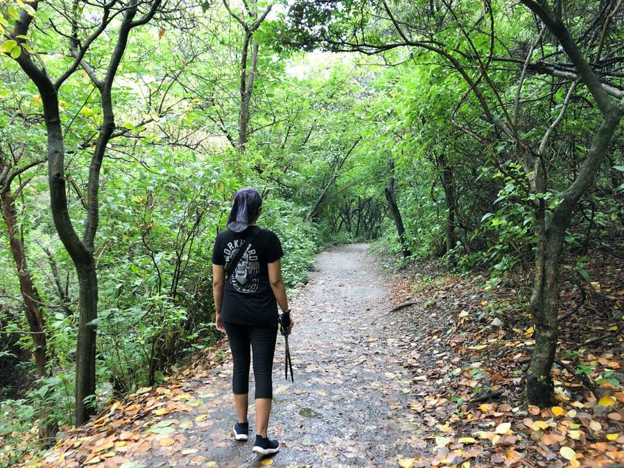 Hiking For Exercise And Mindfulness 2